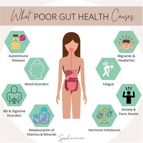 Poor Gut Health Causes & Effects | Sprout Into Wellness | Gut health