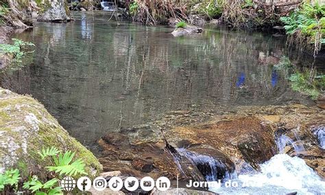 Associação do Rio Leça dá a conhecer biodiversidade nas Quedas da