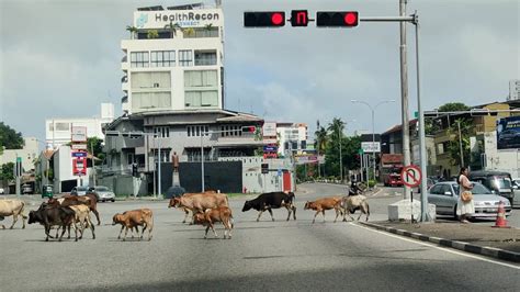 Borella Junction 9th July around 10am : r/srilanka