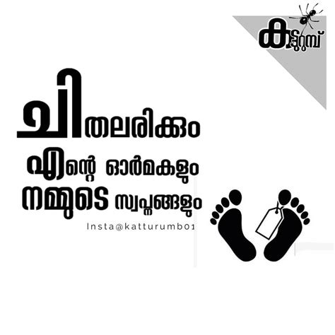 Follow Katturumb Malayalam Typography Mallu Quotes