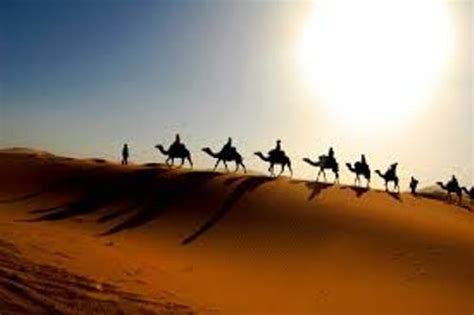 10 Interesting Sahara Desert Facts | My Interesting Facts