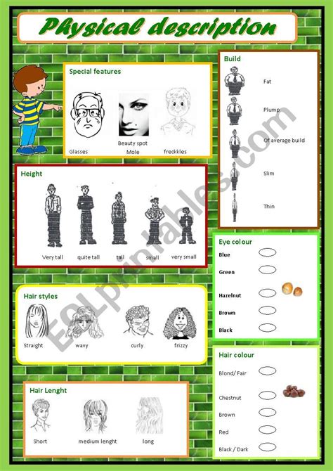 Physical Description ESL Worksheet By Darlamama