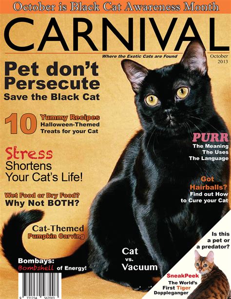 Carnival: Cat Magazine Cover on Behance