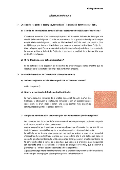 Biologia Humana Pràctica 3 Warning TT undefined function 32