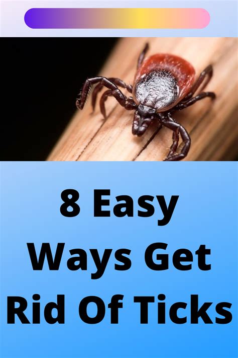 A Tick Explosion Is Expected This Summer Here Are 8 Easy Ways To Get Rid Of Them Get Rid Of