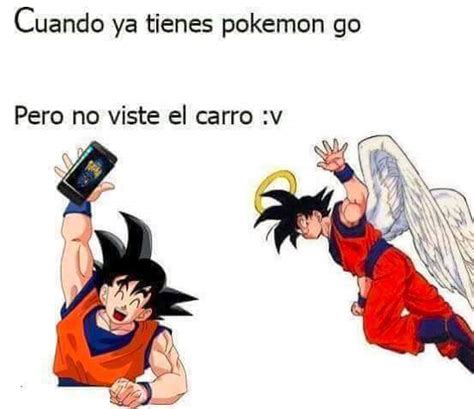 Pokemon Go V Meme Subido Por Mr Don Krillin 87 Memedroid