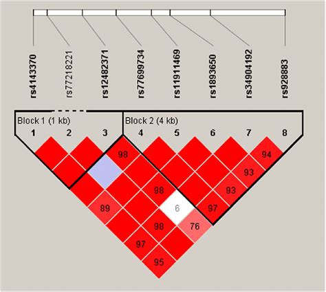 Linkage Disequilibrium Ld Plots Containing Snps From Mir Hg