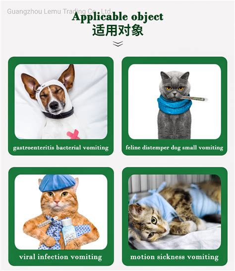 Maropitant Injection, Pet Medicine, Pet Care, Veterinary Medicine, Pet ...