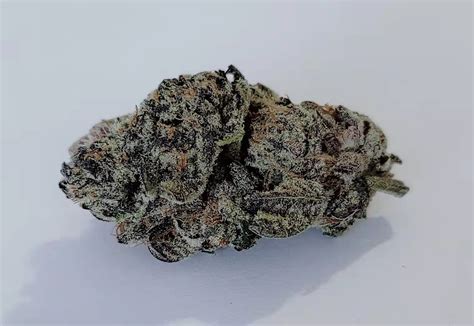 Sunset Sherbet ☀ buy 1ounce received 7g Free - highlifeexpress