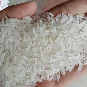 New Crop Fragrant Rice Vietnam Long Grain White Rice DAI THOM 8 DT8