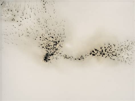 Photographer Explodes Gunpowder onto Images to Create Wonderful ‘Works ...