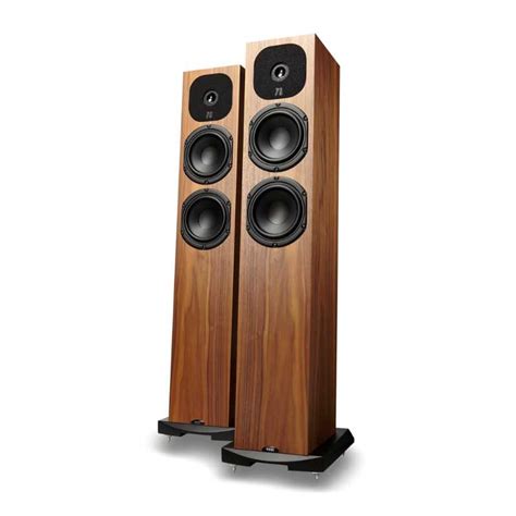 Neat Acoustics Ekstra Black Oak | Absolute Sound