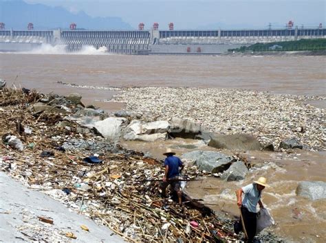 三峡ダム周辺の環境破壊、回復に巨額を投入 中国 写真1枚 国際ニュース：afpbb News