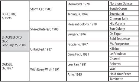 Shackleford Pedigree Influenced by Dr. Fager - BloodHorse