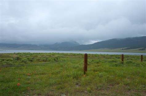 Eagle Nest Lake NM July 2010 – Beth Partin: Restore and Explore