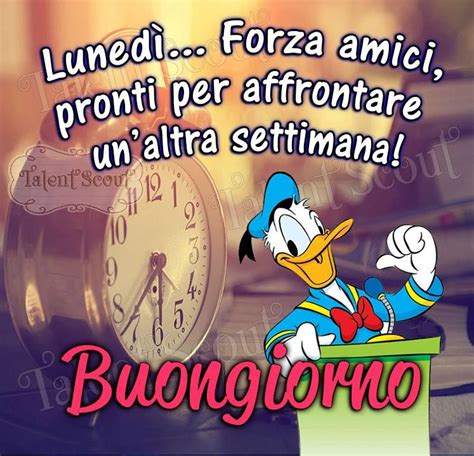 Luned Forza Amici Pronti Per Affrontare Un Altra Settimana