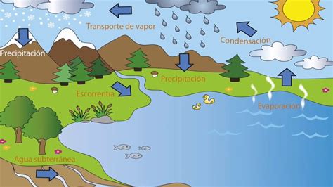 El Ciclo Del Agua Explicado En Detalle Youtube