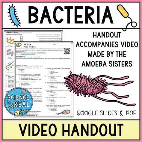 Bacteria Amoeba Sisters Video Handout Science Is Real Education