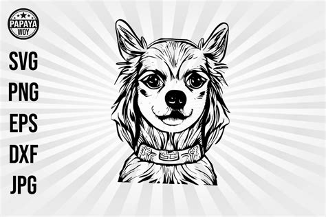 Chihuahua Graphic By Papaya Woy Creative Fabrica