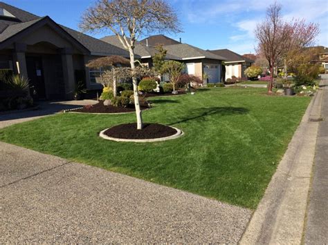 Gallery Diamond Cut Lawn And Garden