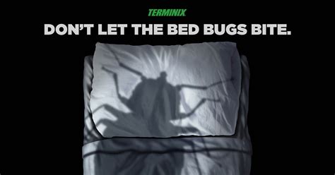 Learn How To Check For Bed Bugs In A Hotel Terminix