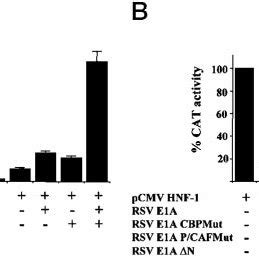 Different Domains Of Hnf Interact With Cbp And The Other