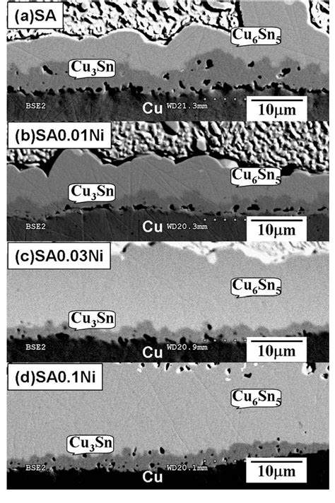 Figure 5 From Kirkendall Voids Formation In The Reaction Between Ni