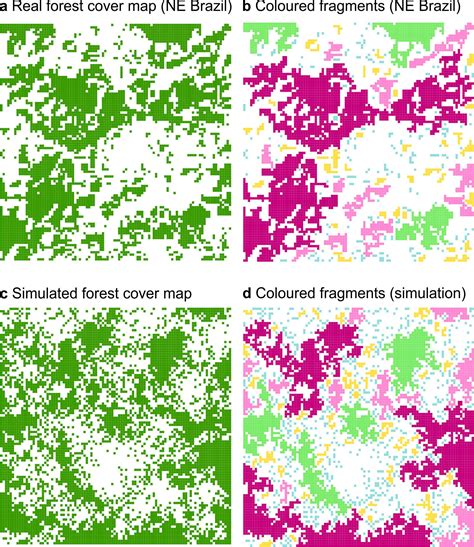 The 187/91 scaling rule of global tropical forest fragmentation – FORMIND