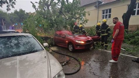 Tragedija U Srbiji Usljed Nevremena Poginula Ena Stablo Palo Na