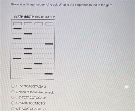 Solved Below is a Sanger sequencing gel. What is the | Chegg.com