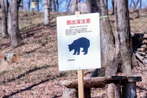 クマ注意の写真素材｜写真素材なら「写真ac」無料（フリー）ダウンロードok