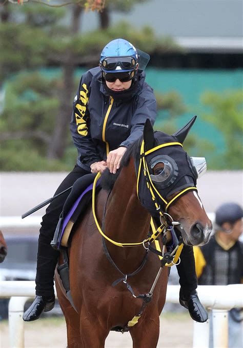 【天皇賞・春】テーオーロイヤル遅れも予定通り、菱田騎手「とても良かった」／g1追い切り速報 競馬写真ニュース 日刊スポーツ