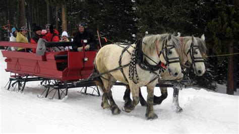 Breckenridge Stables Sleigh Ride Tours | Winter sleigh rides in ...