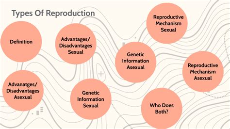 Types Of Reproduction by chloe b on Prezi