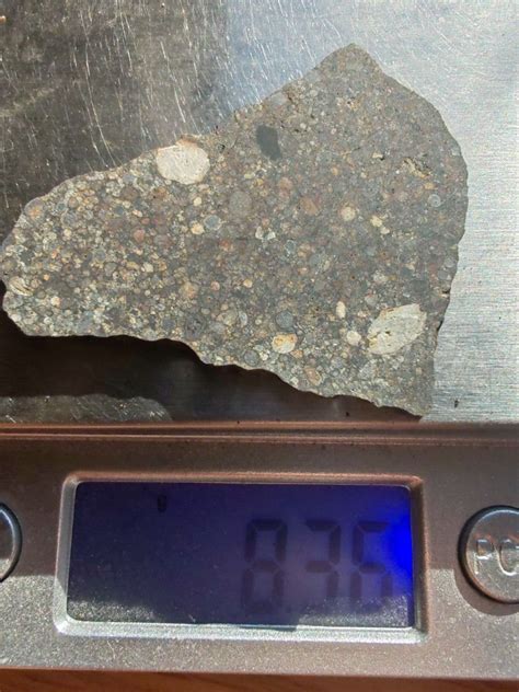 Meteorite Nwa Chondrite Ll Slice Grams Ebay