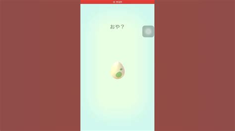 ポケモンgo 2kmたまご何でるかな？ ポケモンgo Pokemongo ポケgo Pokemon Shorts Short