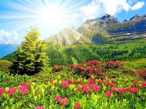 View Of Mountain Rocks Pretty Sun Grass Dazzling Sunny Shine