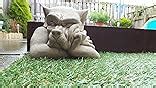 Dsl Bert Garden Ornament Gargoyle Sculpture Stone Statue Home Patio