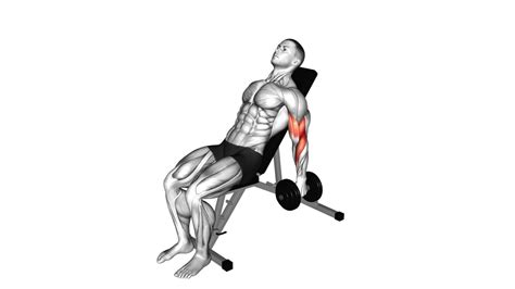 Dumbbell Incline Alternate Hammer Curl Video Exercise Guide Tips