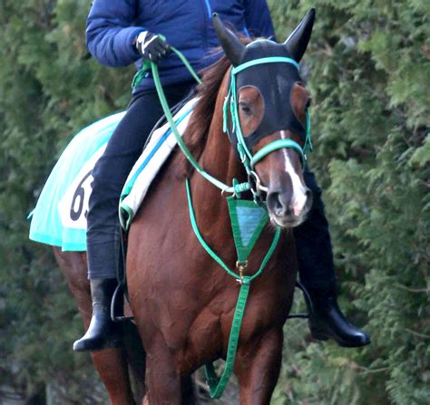 エニフSボンセルヴィーソは角馬場で調整 池添学調教師一段階良くなっている UMATOKU 馬トク