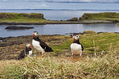 Isle of Lunga | Inner Hebrides