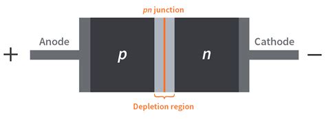 How does a diode work? (Part 2 - Forward Bias) | CircuitBread