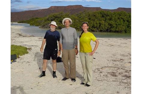 Mexican Mangroves Have Been Capturing Carbon For 5 000 Years