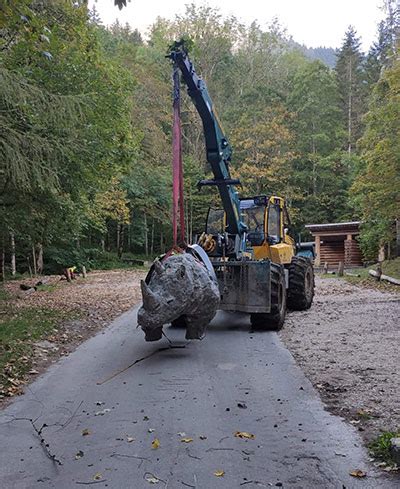 Le rhinocéros sen va Courrier du Val de Travers hebdo