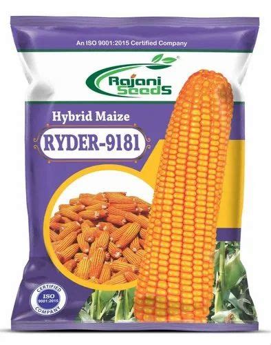 Hybrid Maize Seeds In Hyderabad Latest Price Mandi Rates From