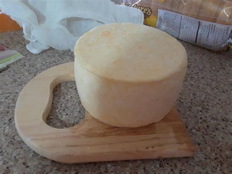 Fresh Starter Culture How to Make Cheese | Cheese Making