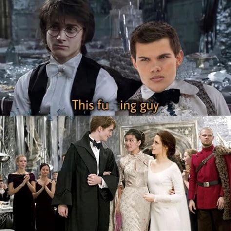 harry potter memes   pure comedy golden snitch