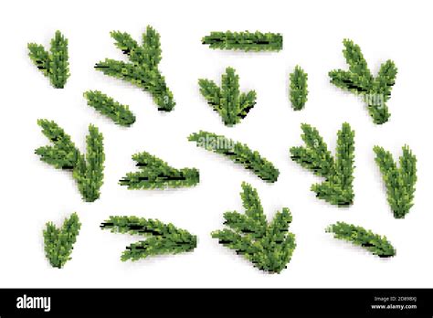 Fir Tree Branches And Elements Set Vector Green Christmas Tree Parts