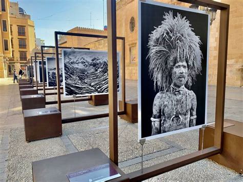 Vuelve A Elche El Museo Al Aire Libre En La Plaza Del Congreso