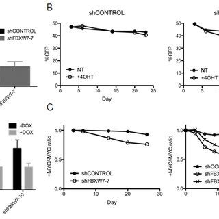 Loss Of Fbxw Combined With Mycer Activation Is Lethal A Knockdown